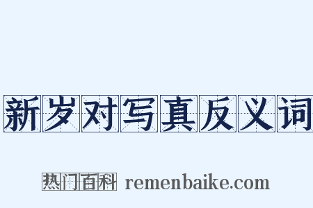 新岁对写真反义词是什么意思的图片